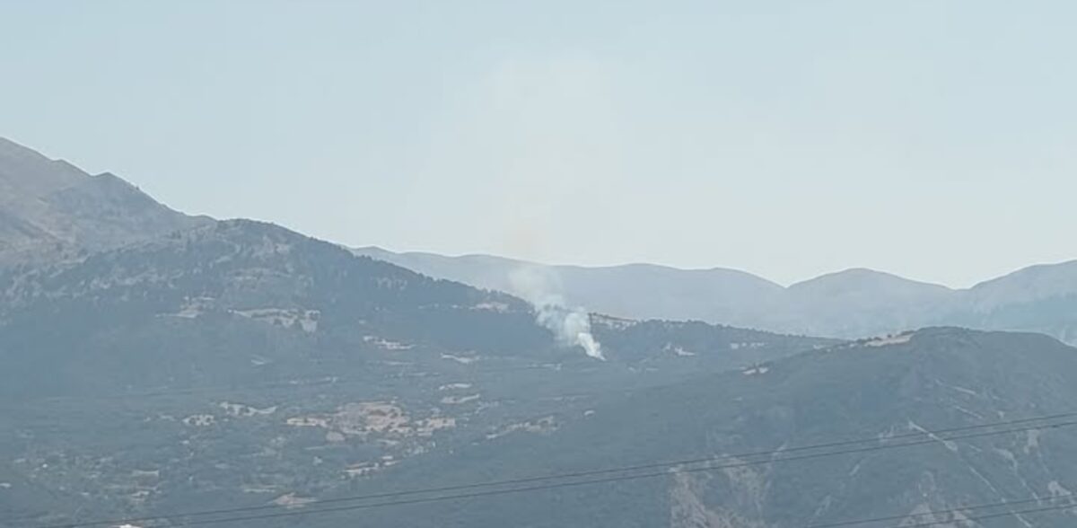 Φωτιά σε δασικη εκταση