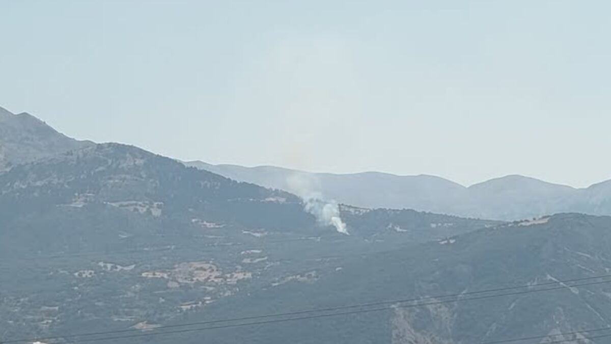 Φωτιά σε δασικη εκταση