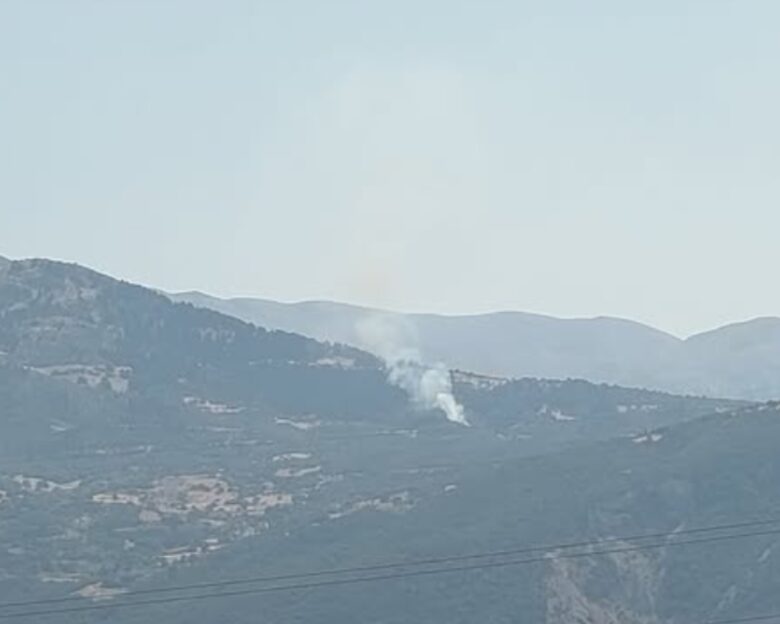 Φωτιά στα Μιντζαίικα Αχαΐας – Σηκώθηκαν εναέρια μέσα