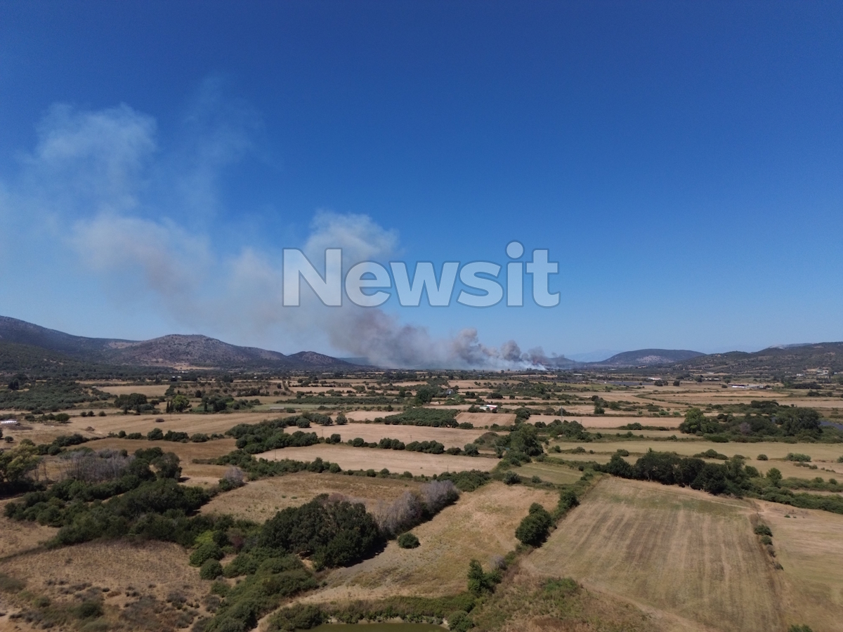 Φωτιά στην Πάλαιρο Αιτωλοακαρνανίας
