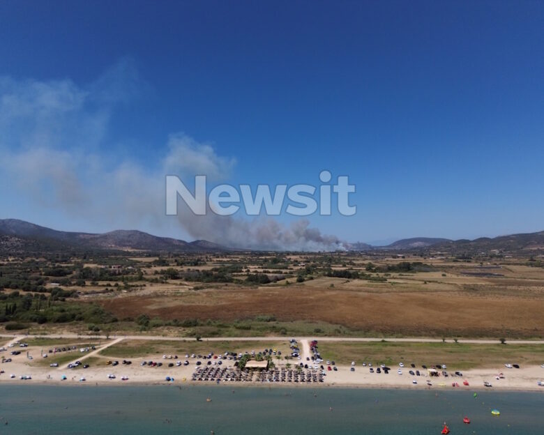Φωτιά στην περιοχή Πάλαιρος στην Αιτωλοακαρνανία – Σηκώθηκαν 4 αεροσκάφη και 1 ελικόπτερο