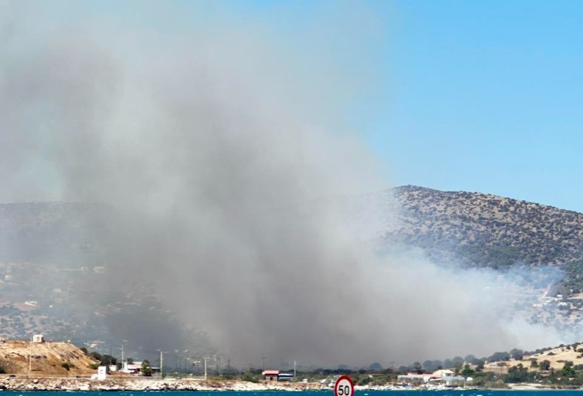 Φωτιά στην Παλιοκαμάριζα