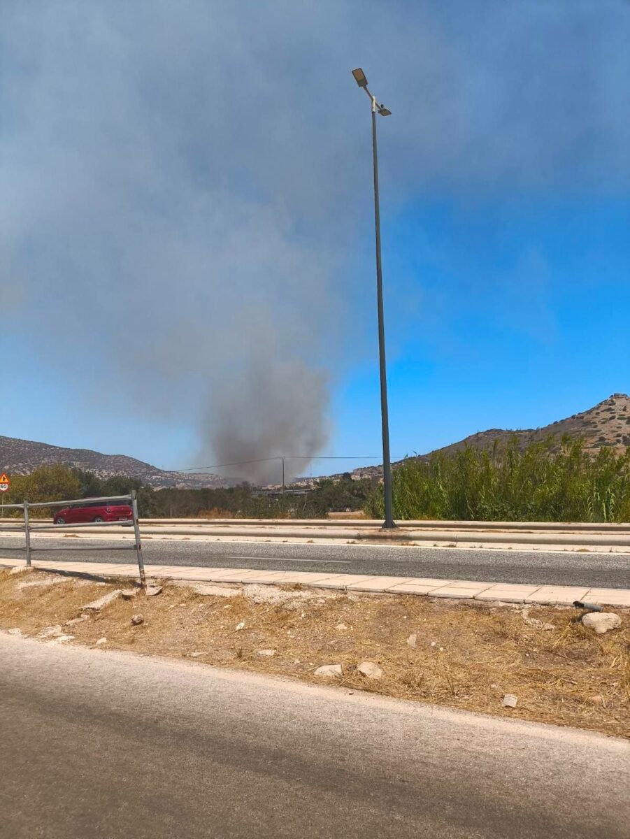 Η φωτιά στην Παλιοκαμάριζα Κερατέας