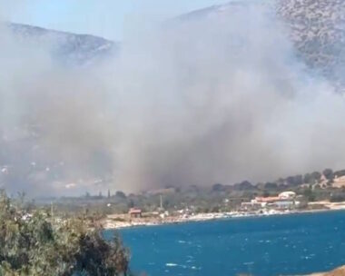 Φωτιά στην Παλιοκαμάριζα