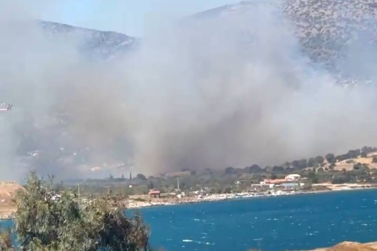 Φωτιά στην Παλιοκαμάριζα