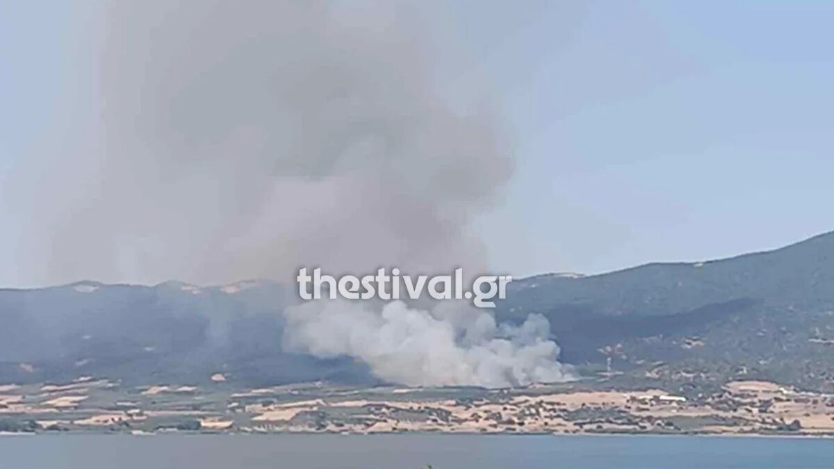 Φωτιά στη Μεγάλη Βόλβη Θεσσαλονίκης