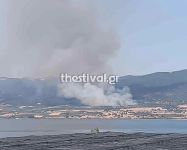 Φωτιά στη Μεγάλη Βόλβη Θεσσαλονίκης