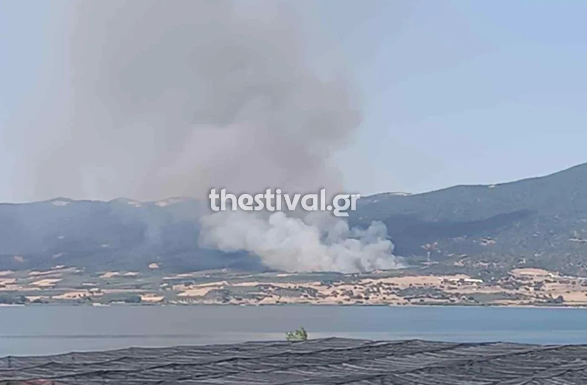 Φωτιά στη Μεγάλη Βόλβη Θεσσαλονίκης