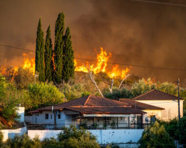 Φωτιά στο Χελιδόνι Αρχαίας Ολυμπίας