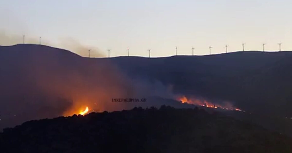 Fire in Kefalonia: Messages of 112 for evacuation of 3 areas – increased risk of fire and today
