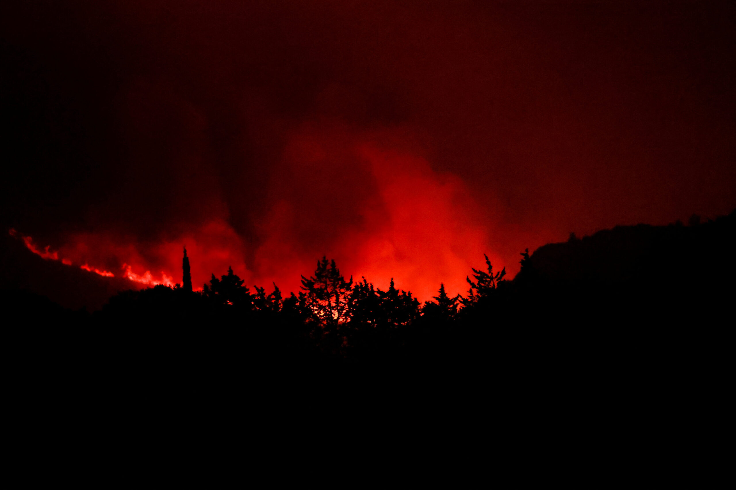 Trees burn in France at night