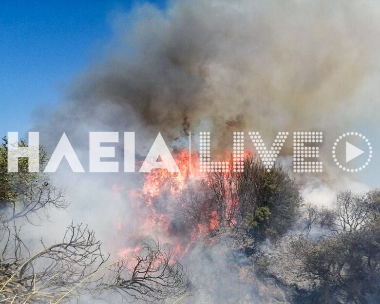 Φωτιά στην Ηλεία: Καίει σε αγροτοδασική έκταση – Σηκώθηκαν και εναέρια μέσα