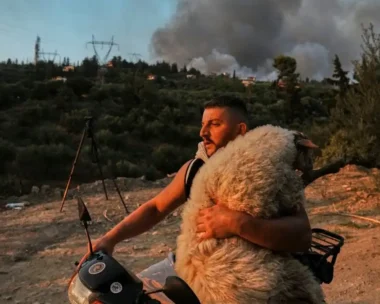 Πρόβατο