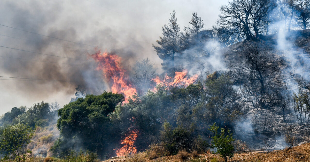 A 67 -year -old priest arrested for a forest arson in Markopoulo