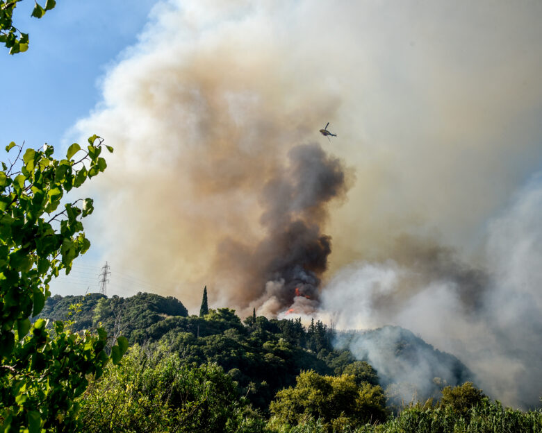 Εύβοια: Ανήλικος άναψε φωτοβολίδα και προκάλεσε φωτιά – Τον «συνέλαβαν» κάτοικοι