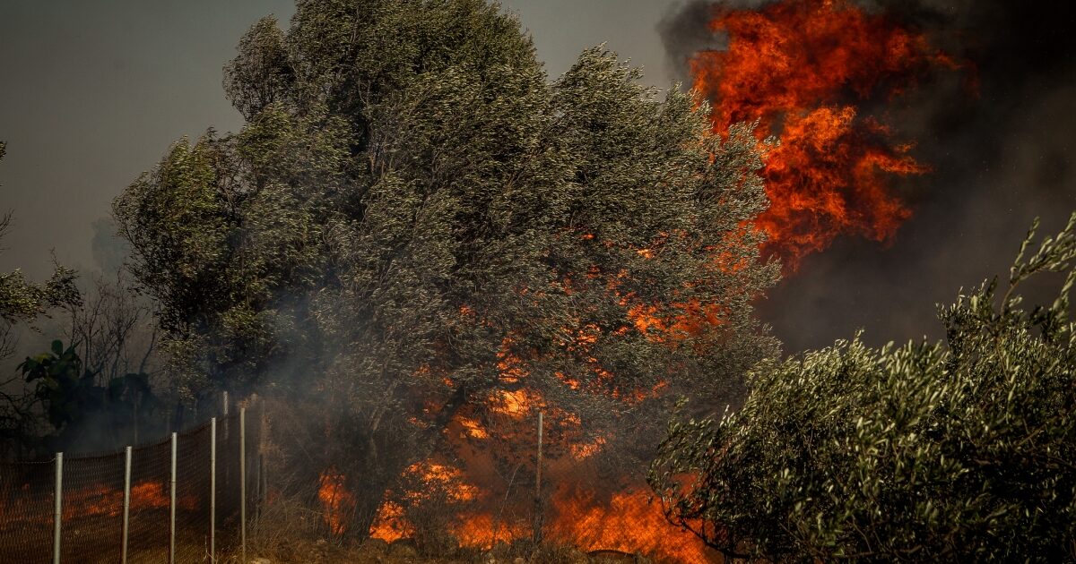 Very high risk for fire in Attica, Peloponnese, Central Greece and 4 other regions