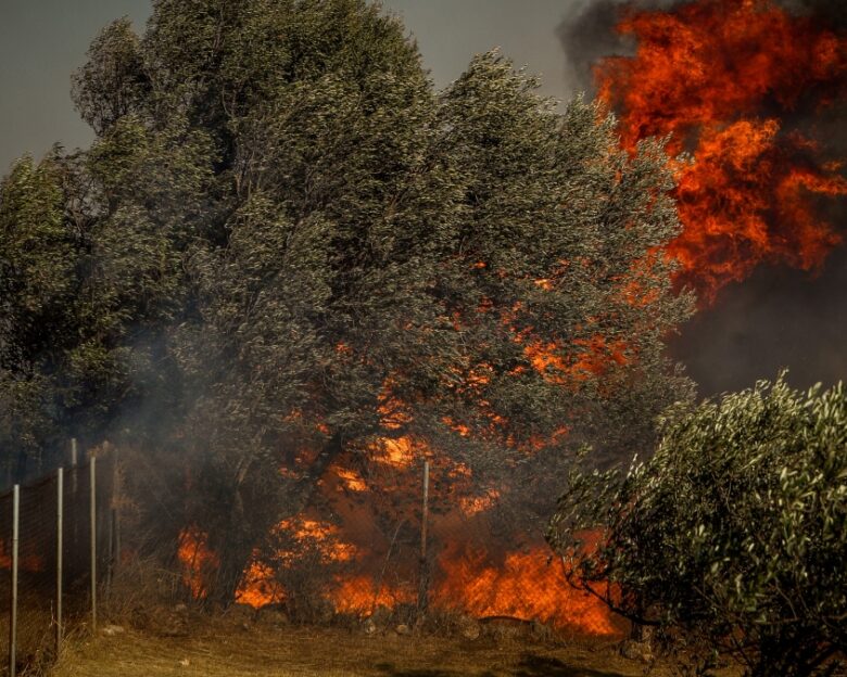 Πολύ υψηλός κίνδυνος για φωτιά σε Αττική, Πελοπόννησο, Στερεά Ελλάδα και άλλες 4 περιφέρειες