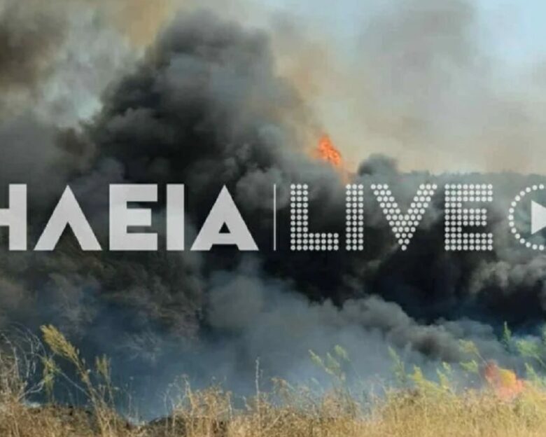 Φωτιά στην Ηλεία στην περιοχή Καπελέτο: Ήχησε το 112, σηκώθηκαν εναέρια μέσα