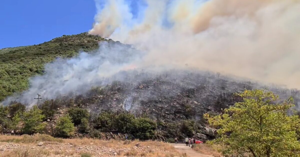 Fire in Kalavryta in Livadi area: Air means fight with flames
