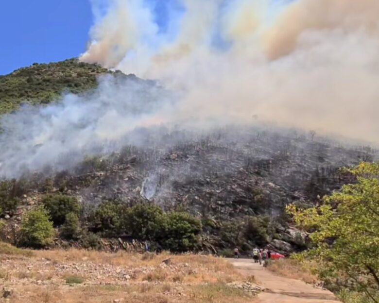 Φωτιά στα Καλάβρυτα στην περιοχή Λιβάδι: Εναέρια μέσα παλεύουν με τις φλόγες