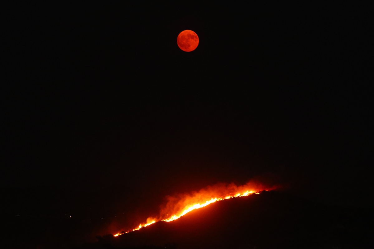 Fire