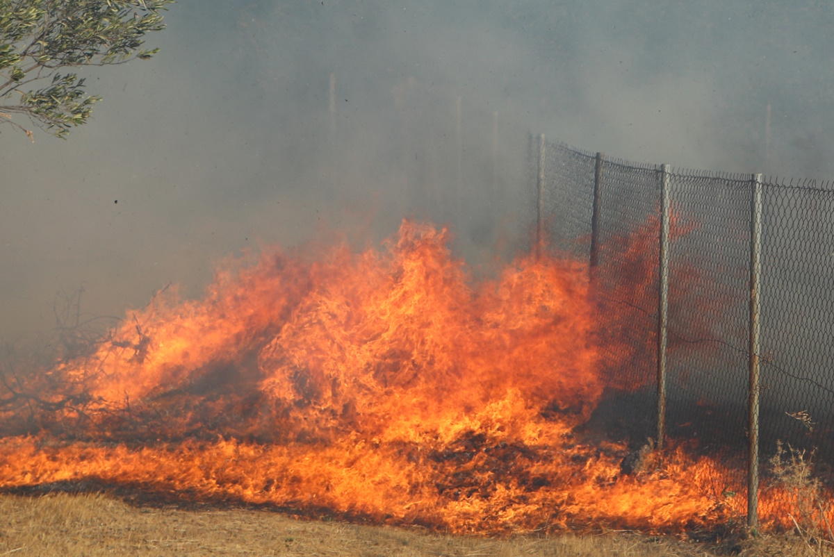 Fire