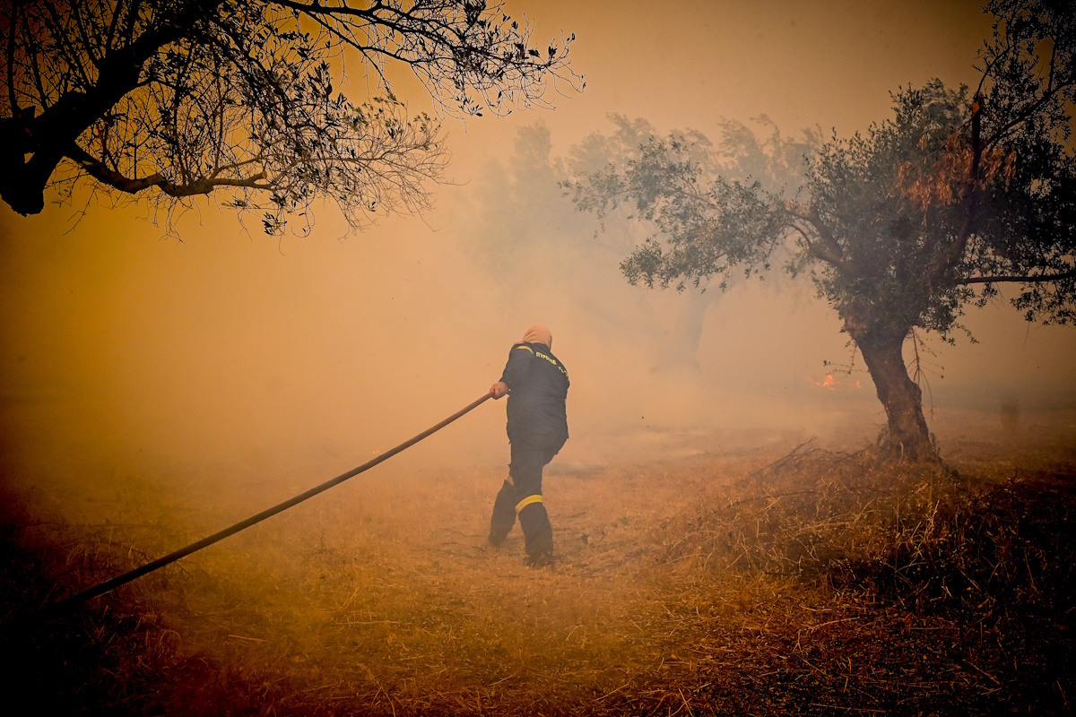 Firefighter
