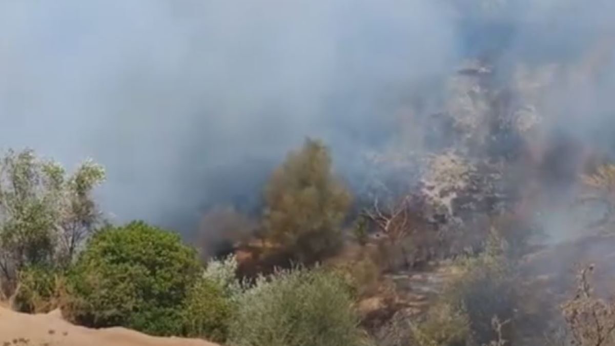Φωτιά σε περιοχή με μπάζα στην Ανάληψη Μεσσήνης