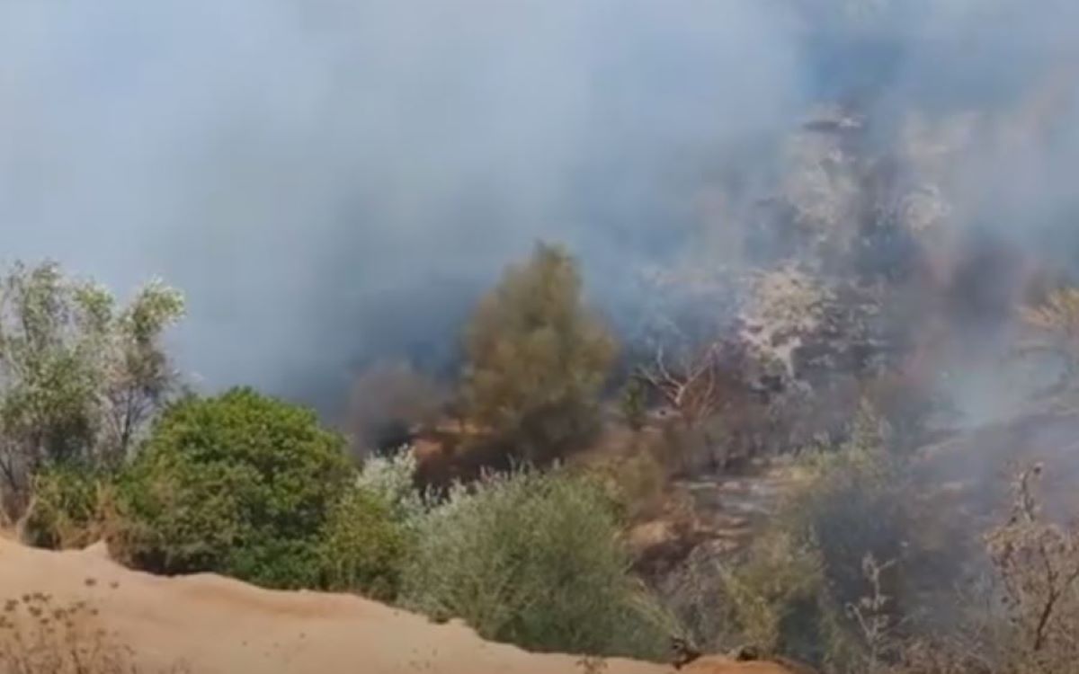 Φωτιά σε περιοχή με μπάζα στην Ανάληψη Μεσσήνης