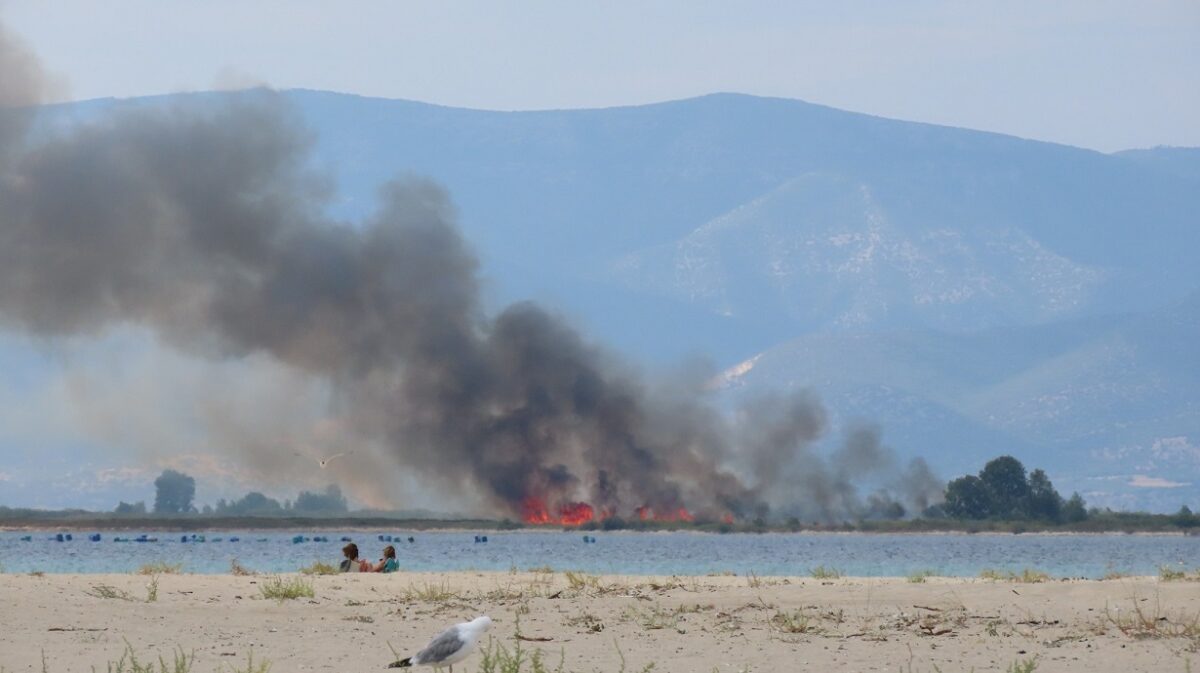 Φωτιά στη Νέστο