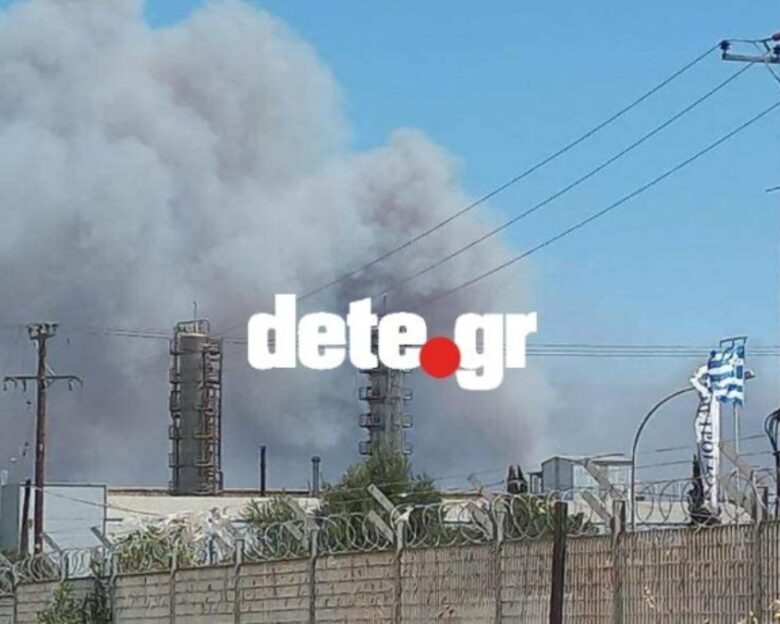 Φωτιά στην Πάτρα: Οι φλόγες καίνε πίσω από τη ΒΙΠΕ – Σφοδροί άνεμοι πνέουν στην περιοχή