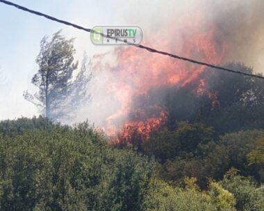 Φωτιά στην Πρέβεζα και στην Άρτα: Μάχη να μην καούν σπίτια – Διακοπή κυκλοφορίας στην Ιόνια Οδό