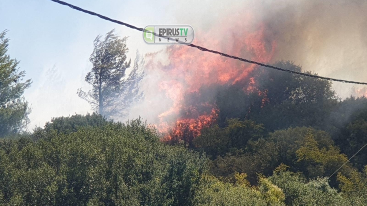 Φωτιά στην Πρέβεζα και στην Άρτα: Μάχη να μην καούν σπίτια – Διακοπή κυκλοφορίας στην Ιόνια Οδό