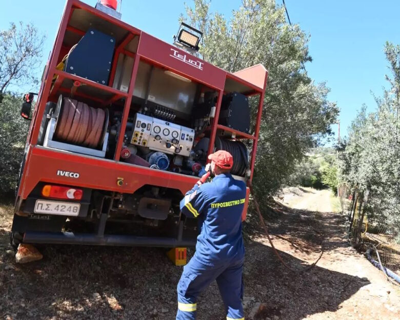 Δύο νεαροί στη Φθιώτιδα κρατούνται για απόπειρα εμπρησμού – Τους είδαν να ρίχνουν πετρέλαιο σε θάμνους