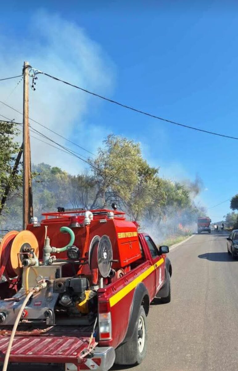 Φωτιά στο Ράγιο Θεσπρωτίας