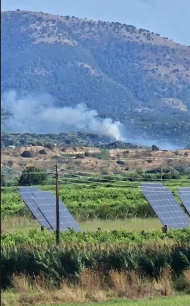 Φωτιά στο Ράγιο Θεσπρωτίας