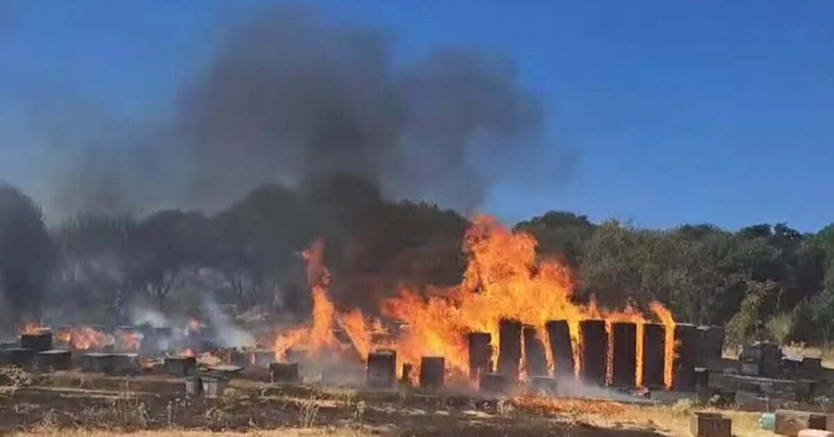 Fire in Thessaloniki: Melissia started the fire in Chortiatis – Watch video