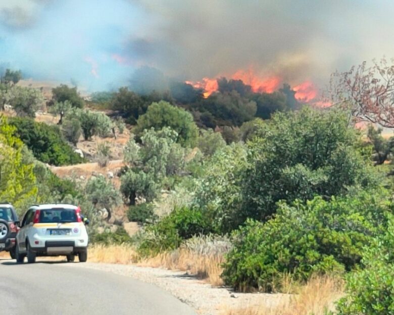 Φωτιά στη Βοιωτία στην περιοχή Πρόδρομος: Εναέρια μέσα και πεζοπόρα τμήματα παλεύουν με τις φλόγες