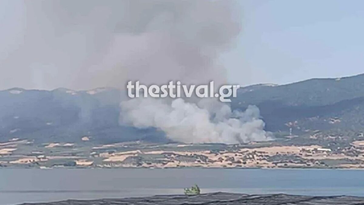 Φωτιά στη Βόλβη
