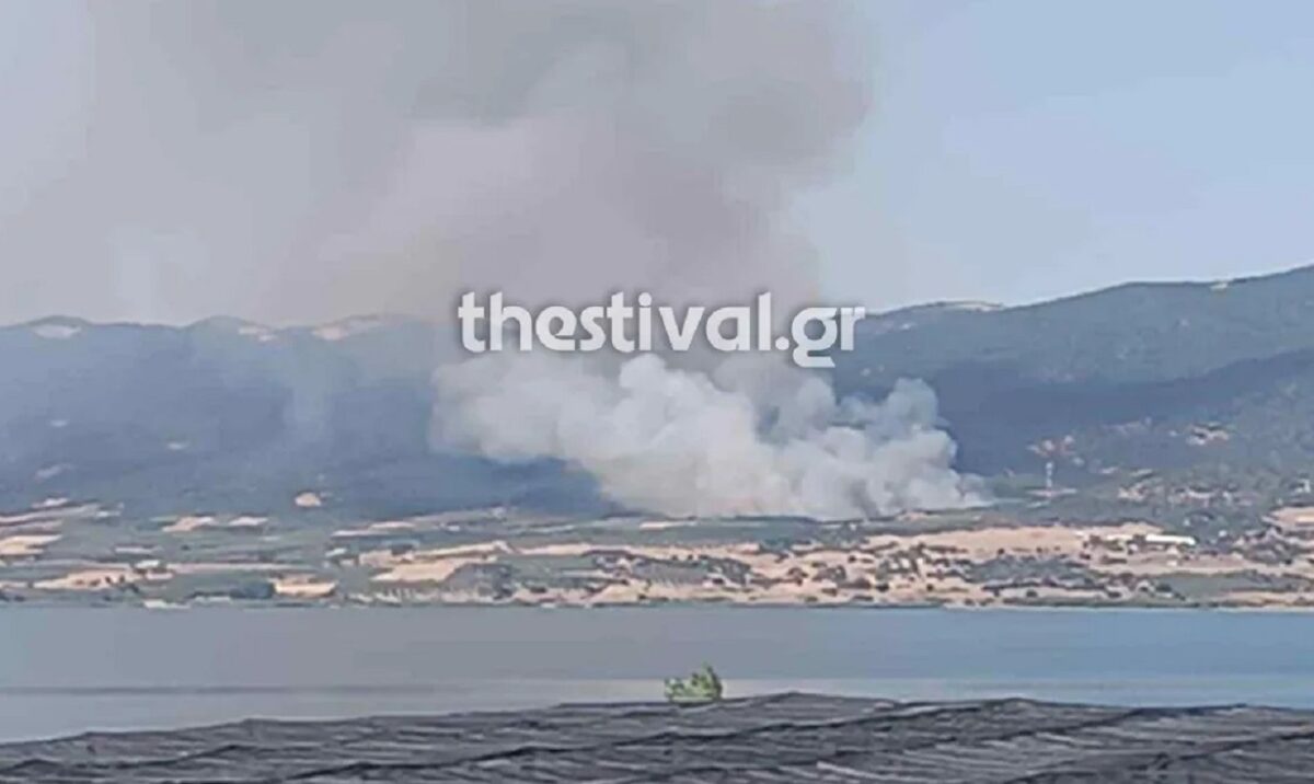 Φωτιά στη Βόλβη
