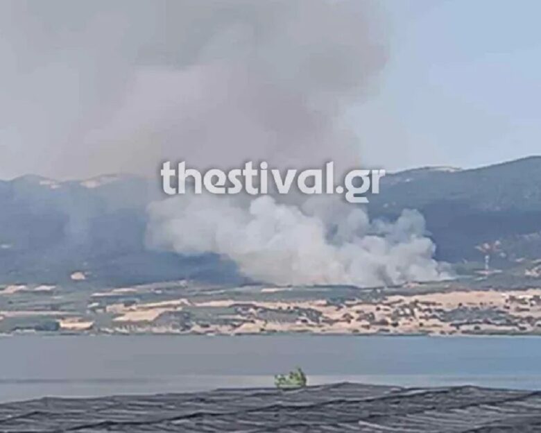Αναζωπυρώθηκε η φωτιά στην Βόλβη: Νέο μήνυμα εκκένωσης από το 112