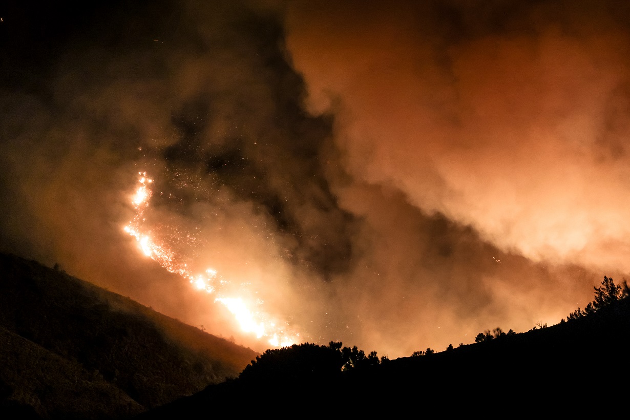 Πυρκαγιά στη Χίο σε δασική έκταση. Τρίτη 12 Αυγούστου 2025  (ΚΩΣΤΑΣ ΑΝΑΓΝΩΣΤΟΥ