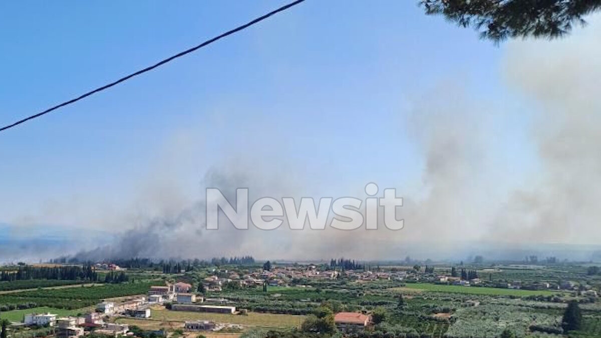 Φωτιά στον Γαλατά Αιτωλοακαρνανίας
