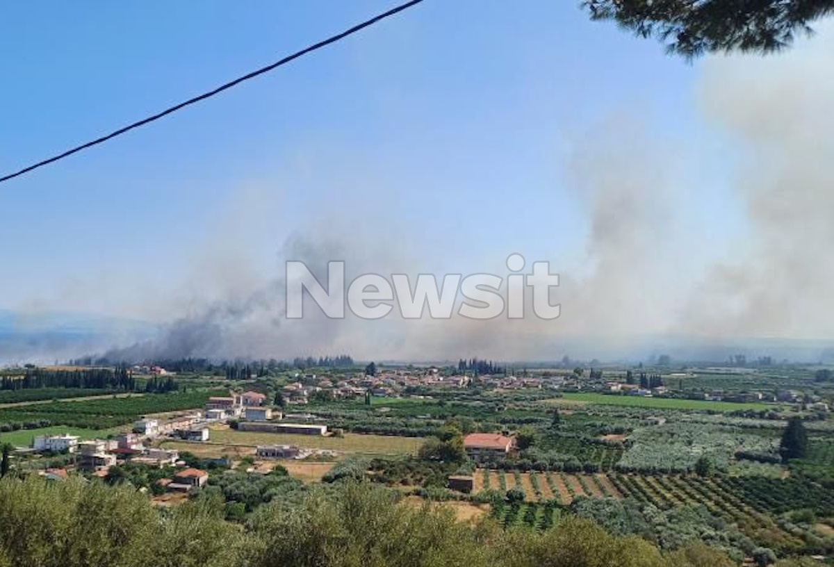Φωτιά στον Γαλατά Αιτωλοακαρνανίας