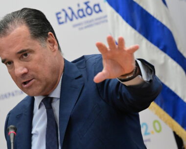 Ο υπουργός Υγείας, Άδωνις Γεωργιάδης