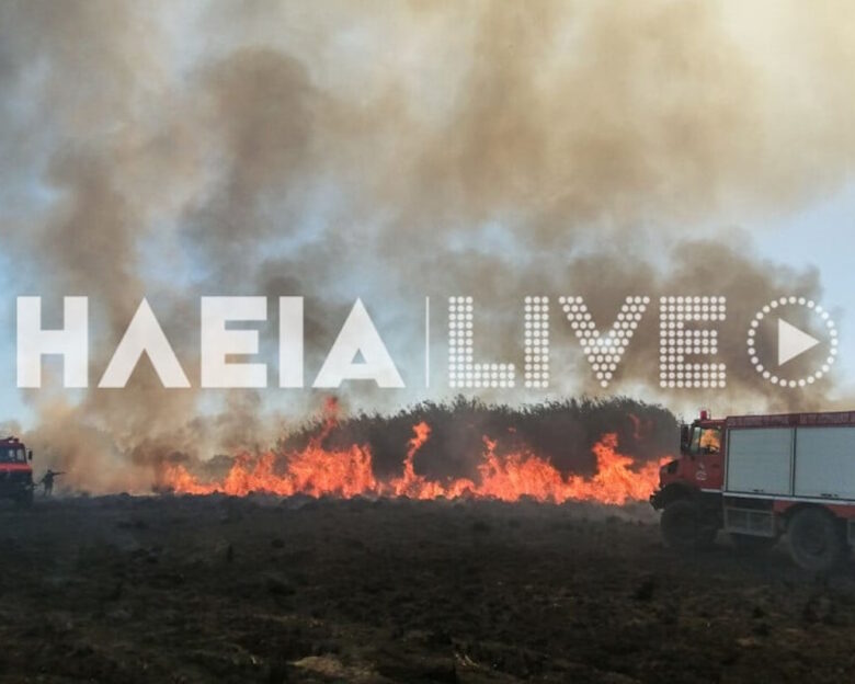 Φωτιά στην Ηλεία στην περιοχή Αρετή – Σηκώθηκαν 1 αεροσκάφος και 1 ελικόπτερο
