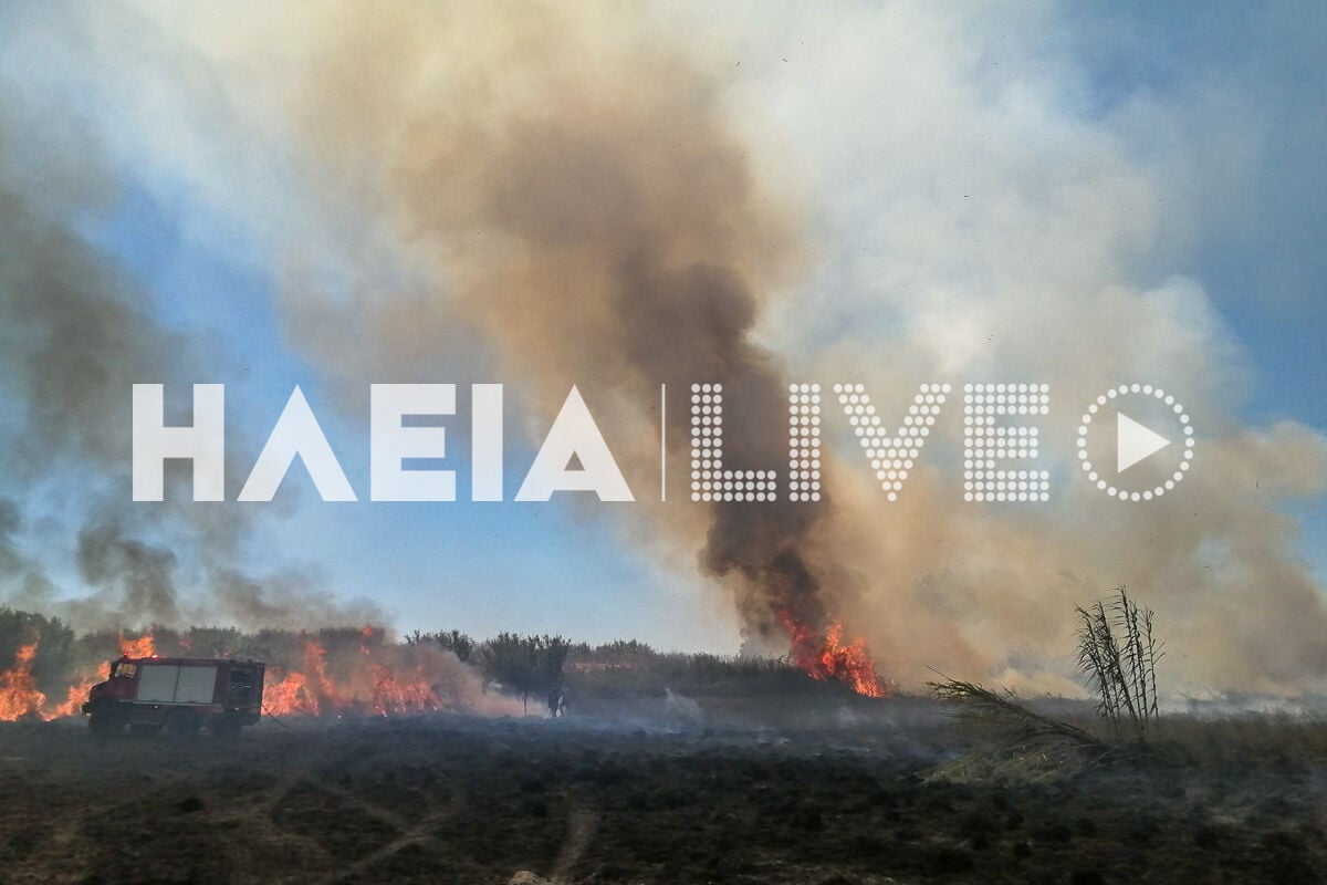 Φωτιά στην Ηλεία