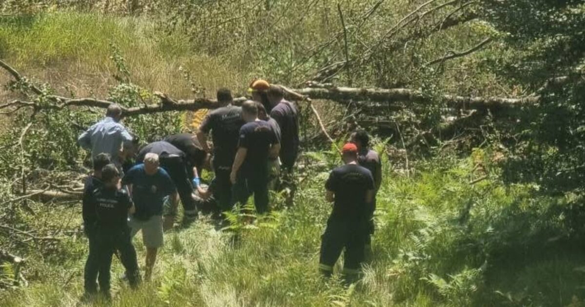 Ioannina: In a serious condition a lumberjack who was struck by a tree in Chrysovitsa