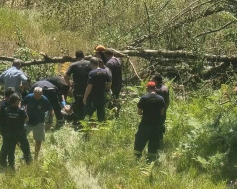 Ιωάννινα: Σε σοβαρή κατάσταση ξυλοκόπος που καταπλακώθηκε από δέντρο στην Χρυσοβίτσα