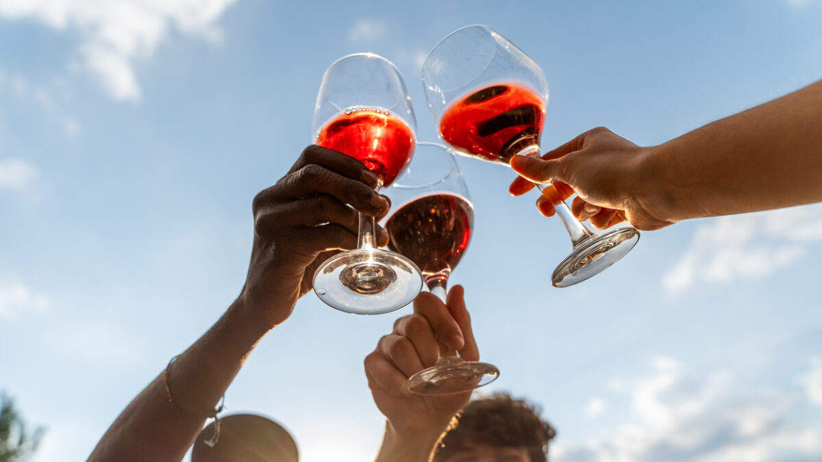 Diverse group of friends toasting with wine glasses during sunset gathering. Natural candid moment of celebration and friendship in casual outdoor setting